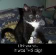 wuzthisbig.jpg
