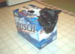 redneckcat.jpg