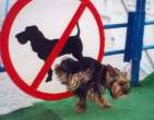 Breaking the Law.jpg