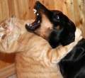 one-sided-hug.jpg