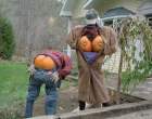 4205_2103_halloween-flashers.jpg