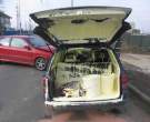 4997_2499_paint-car-accident.jpg