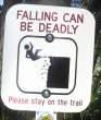 3887_1944_falling-can-be-deadly.jpg