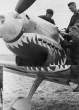 bf-109c__shark_779.jpg