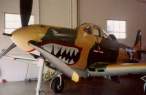 p39__shark_118.jpg