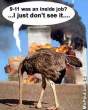 911-inside-job-ostrich-head-in-sand.jpgcaivsz.jpg