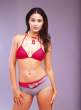 emmanuelle_chriqui_image_big.jpg