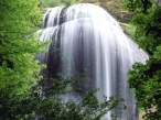 Silver Falls, Oregon - 1600x1200 - ID 31723.jpg