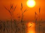 Evening Glow.jpg