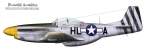 Mustang-HL-A.jpg