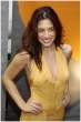 sarah-shahi-12.jpg