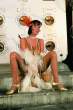 30809_anitadark_dorcel8_123_1026lo.jpg