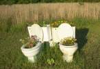 Garden.jpg