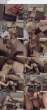 99462_Eva_and_Babette_122_549lo.jpg