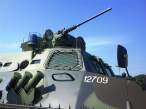 BOV M.JPG