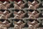 07686_Sela_Ward_11_122_90lo.jpg