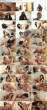 143597_1-jenaveve-jolie_s.jpg
