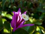 DSC00098.JPG