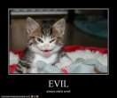 funny-pictures-kitten-is-evil.jpg