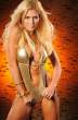torrie_wilson_new_pics_images_3_big.jpg