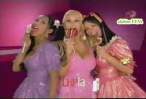 43568_lhp_paletas_645_123_215lo.jpg