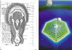 living-universe-foundation-sea-city-project.jpg