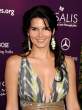 Angie Harmon 0018.resized.jpg