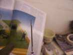 100_1695.JPG