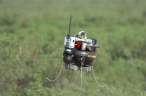 271694-500-331.jpg