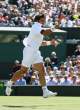Janko-Tipsarevic030.jpg