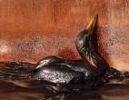 ap_oil_spill_bird_100511_ssh.jpg