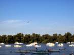 Zemun4jun2010 2s.jpg