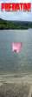 34358_1442371151619_1603312641_31087020_3782324_n.jpg