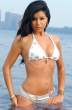 100611f1_fakih_r_b-gr_01_7.jpg