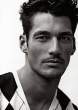 Gandy (28).jpg