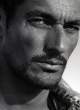 Gandy (118).jpg