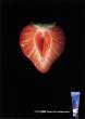 Sexy-Ads-13.jpg