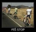 PIS STOP.jpg