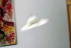 STFB-3 test1fl4 3s.jpg
