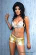 85320_Sherlyn-Chopra_aka_mona_chopra_3_hotpants_123_116lo.jpeg