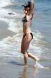 Click to enlarge Phoebe_Price_81268.jpg