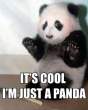 5018845947_its_cool_im_just_a_panda_answer_2_xlarge.jpeg
