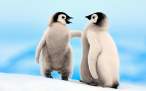 emperor_penguins_snowhill-1440x900.jpg