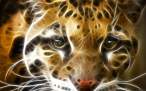 tiger-wallpaper-1526-1440x900.jpg