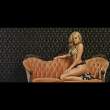 12-60-thickbox.jpg