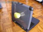 Apple.jpg