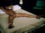 Ginger _1971 Cheri Caffaro_.avi 314 _1__0005.jpg