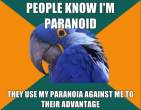 1296945149619_Paranoid_Parrot-s580x451-133393-580.jpg
