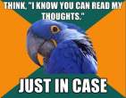 1296945399454_Paranoid_Parrot-s500x388-133401-580.jpg