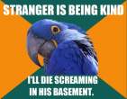 1296945982030_Paranoid_Parrot-s580x451-133411-580.jpg